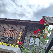 Norica Gligorea